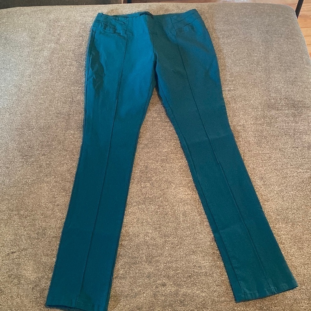 Addiction womens stretch pants; size large
